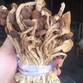 江西抚州广昌县广昌县塘坊农产品 - 一亩田
