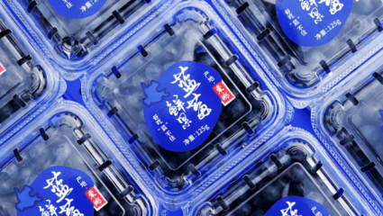 抚州市供销合作社 综合改革 供销冷链集配体系助力蓝莓丰产丰收