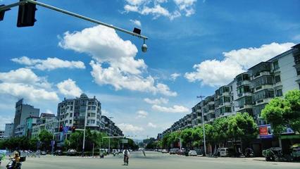 吉尼斯记录最大古樟树林-江西抚州市乐安县水南村-好看的安全树林