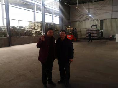 江西省农业农村厅 农业科技 省食用菌产业体系开展食用菌工厂化技术服务与调研