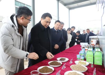 抚州市人民政府 抚州要闻 魏晓奎连赴三地调研